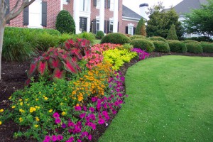 Landscaping Services and Supplies in Frederick Maryland